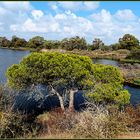 Quinta do Lago (Portugal)