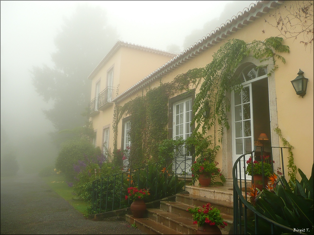 Quinta do Palheiro Ferreiro