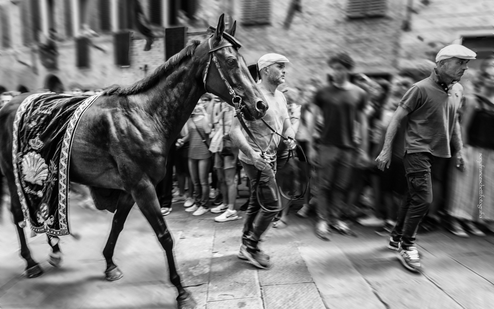  " Quinte di Palio " - Siena