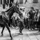  " Quinte di Palio " - Siena