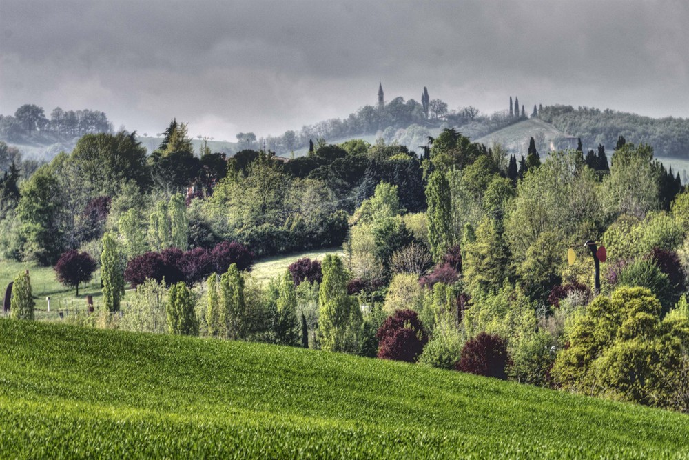 quinte di verde