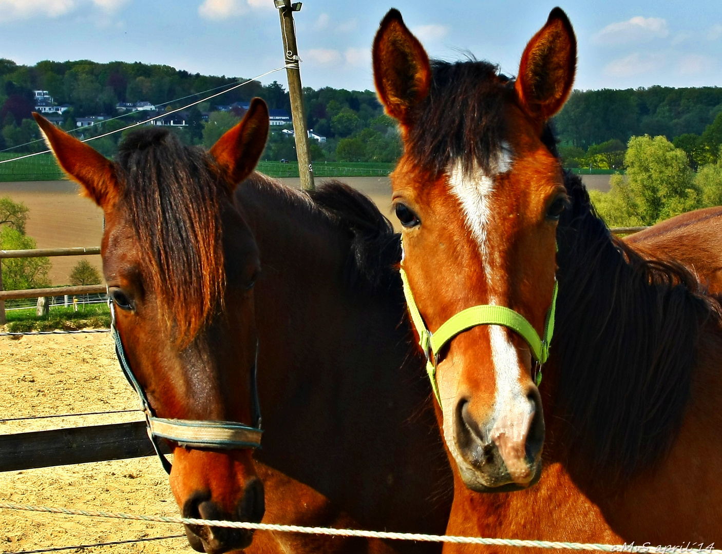 Quintje und Freundin ;)