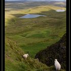 Quiraing