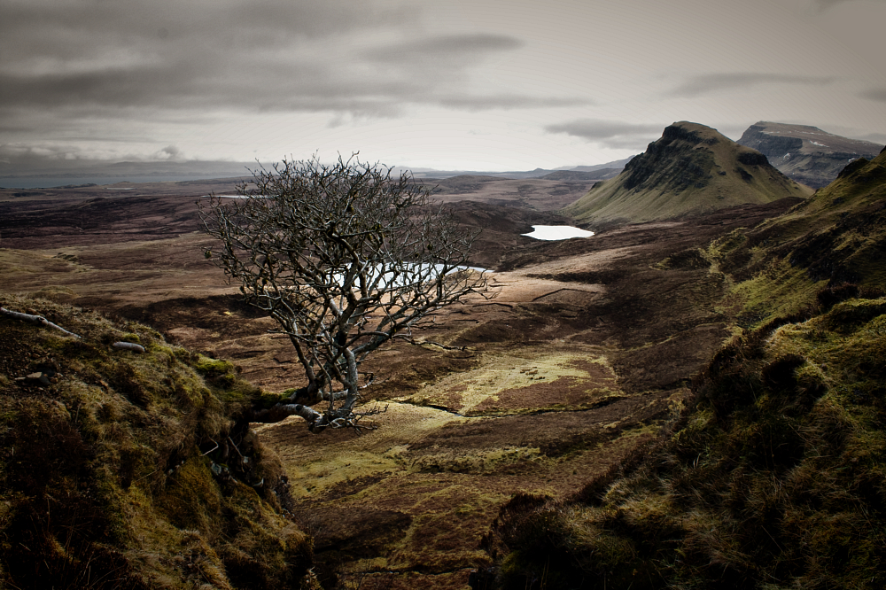 QUIRAING