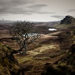 QUIRAING