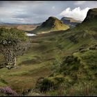 +++QUIRAING+++