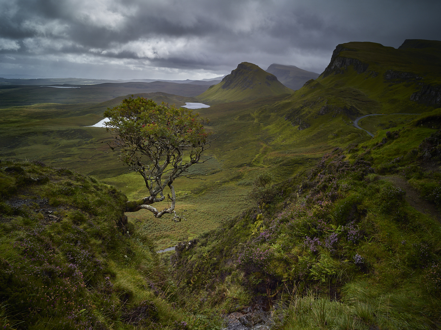 Quiraing - das berühmte Bäumchen