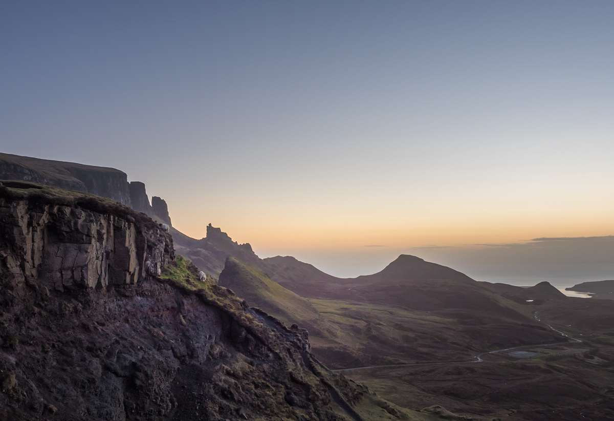 Quiraing Sheep