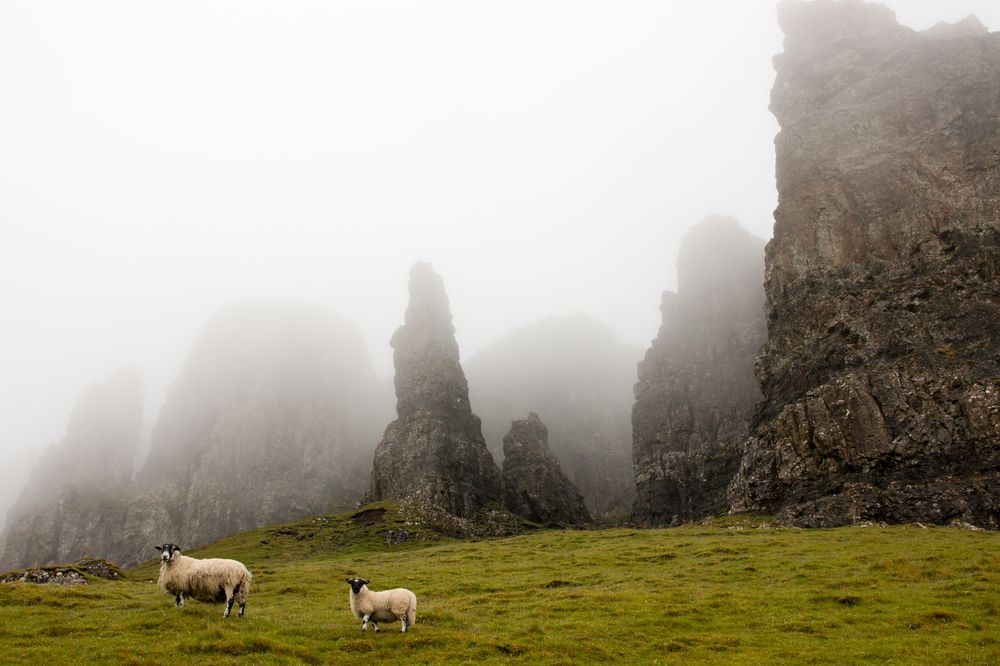 Quiraing Skye von Anna Ziebold 