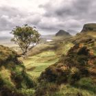 Quiraing solitude