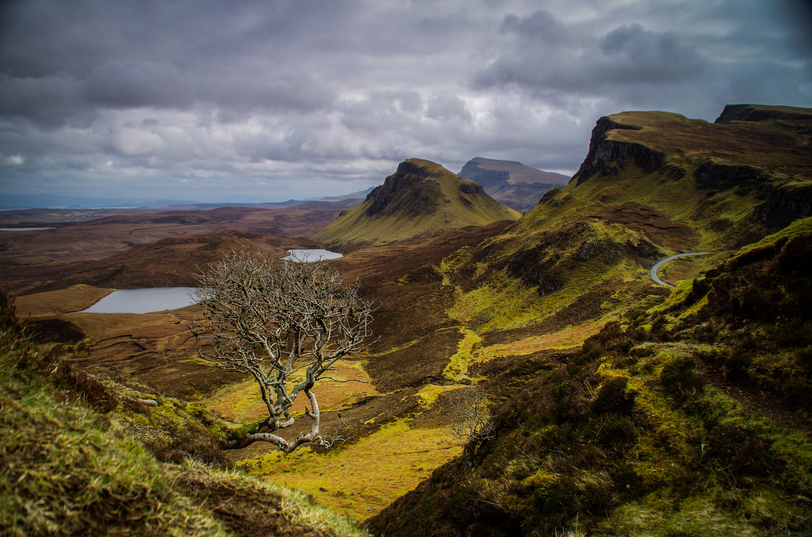 Quiraing - The Tree