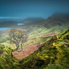 QUIRAING / TROTTERNISH