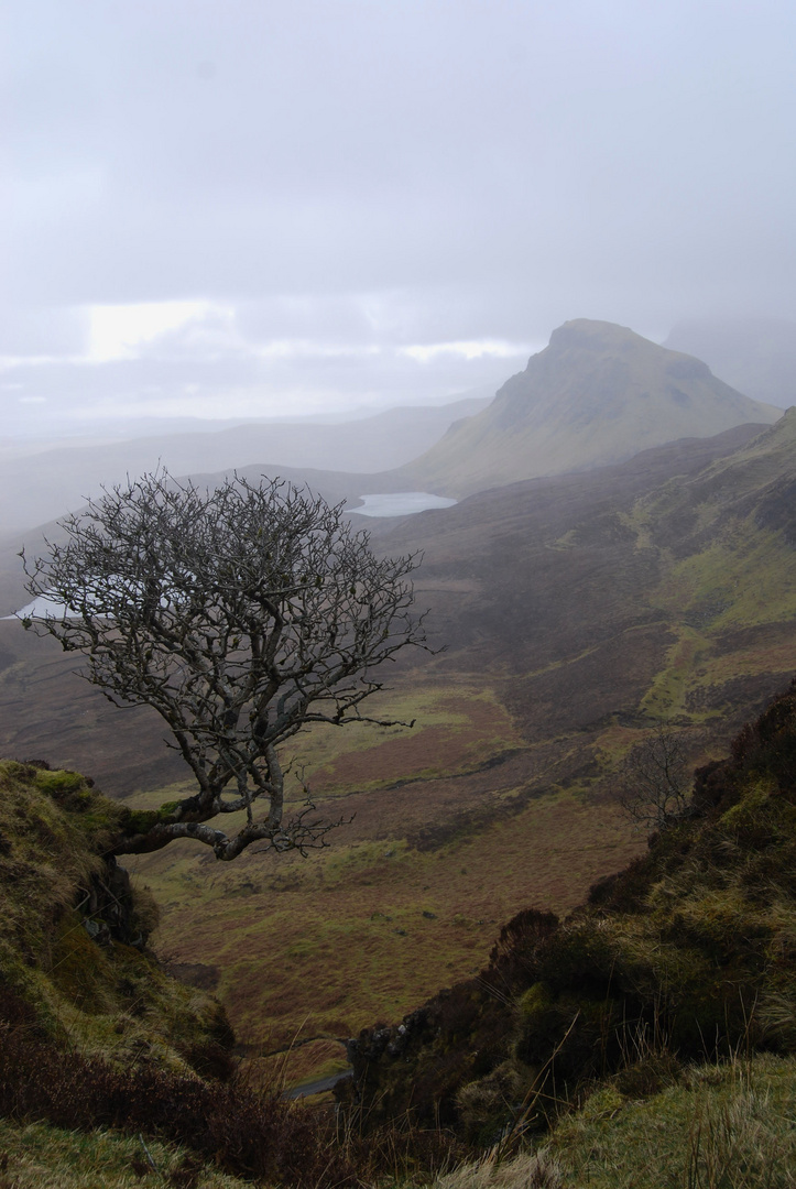 Quiraings im Regen