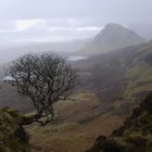 Quiraings im Regen