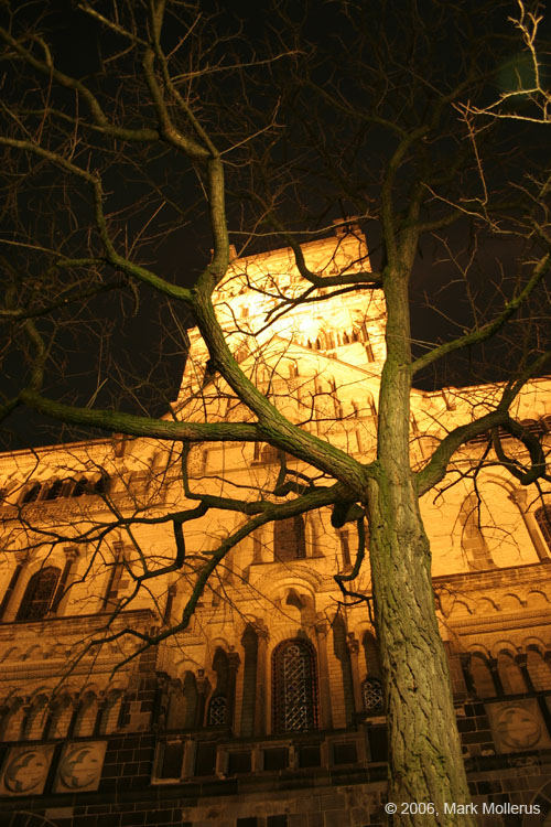 Quirinus Münster bei Nacht