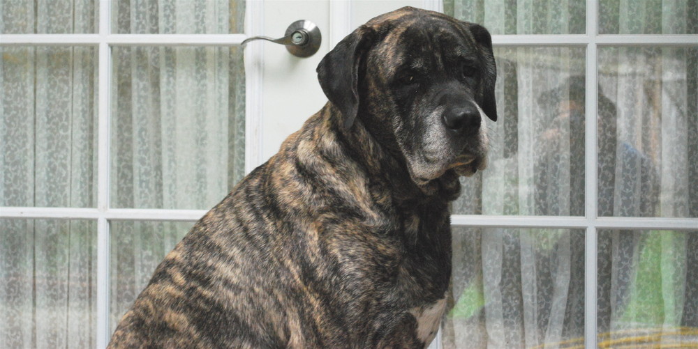 quit taking my foto and let me in.