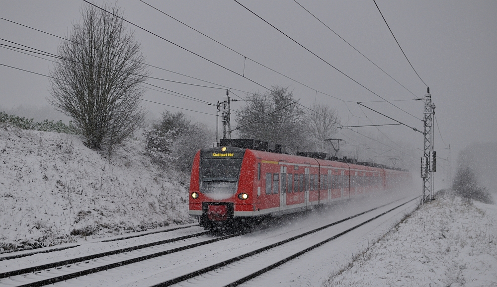 Quitschi im Schnee