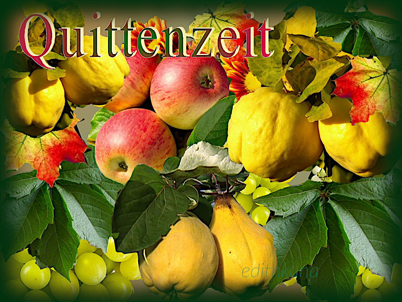 Quittenzeit