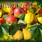 Quittenzeit