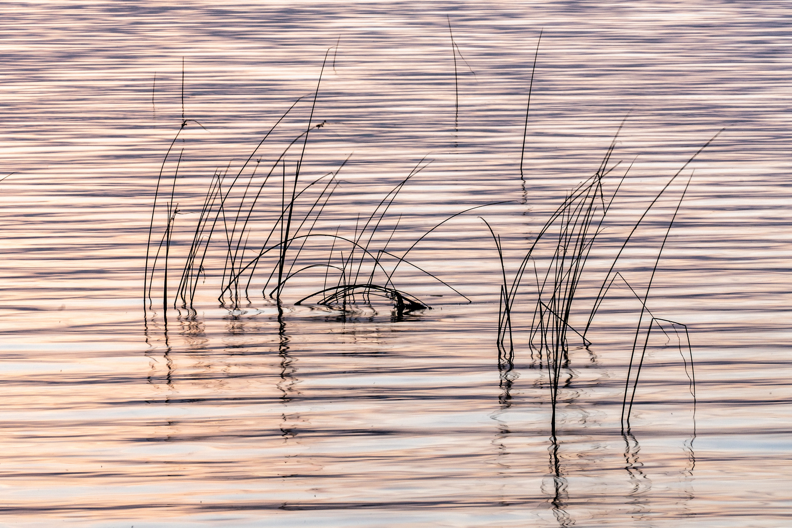 Quitzdorfer Stausee am Abend