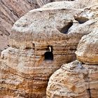 Qumran