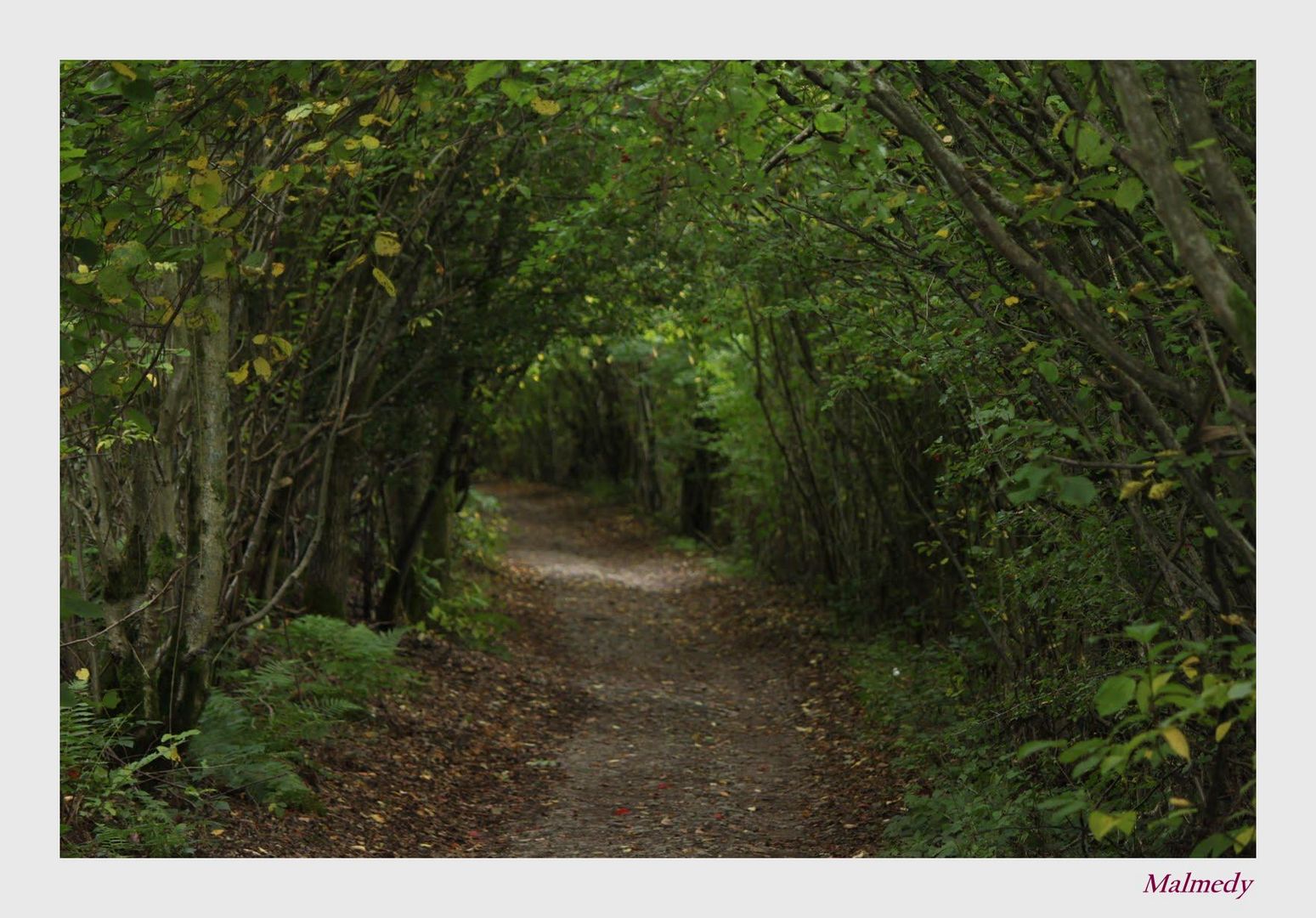 Qu'y a-t-il au bout du chemin?