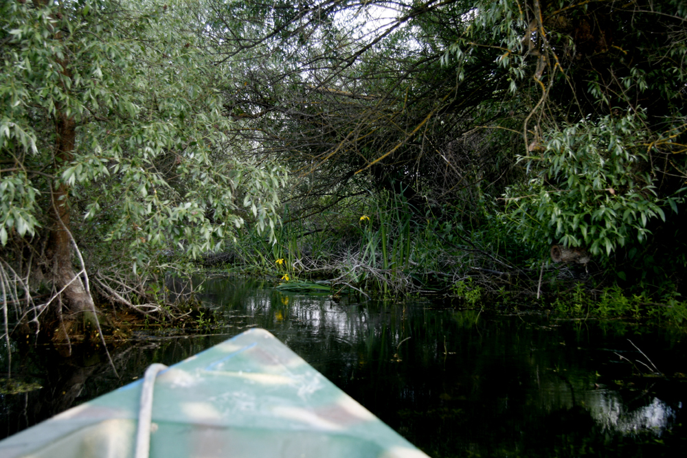 R 14 ... mit dem Motorboot im Donaudelta