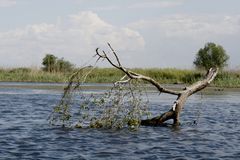 R 4 ... mit dem Motorboot im Donaudelta