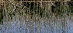 R 8 ... mit dem Motorboot im Donaudelta