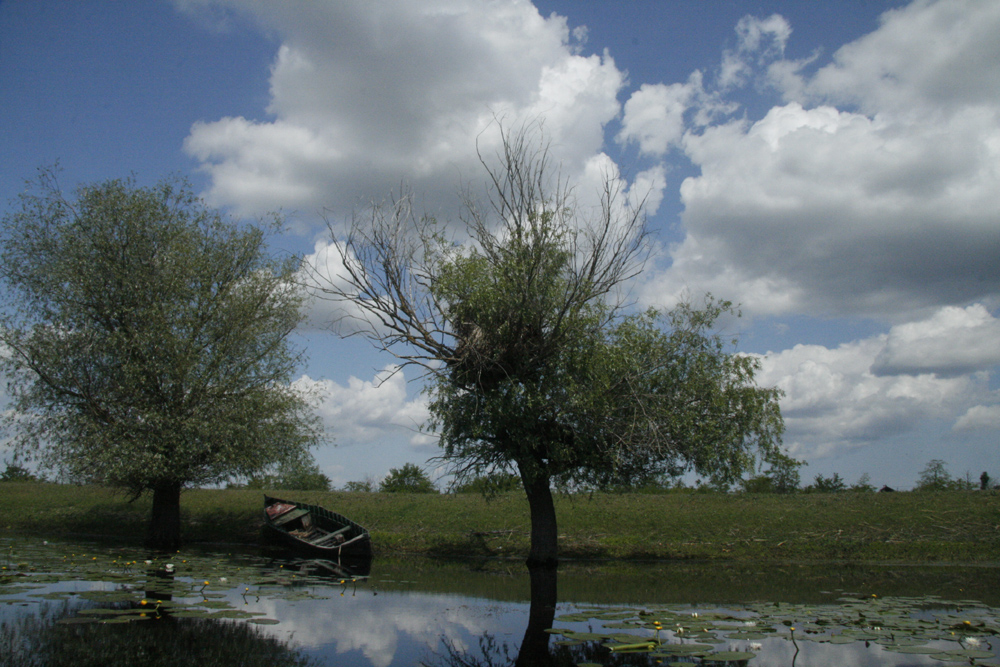 R 9 ... mit dem Motorboot im Donaudelta