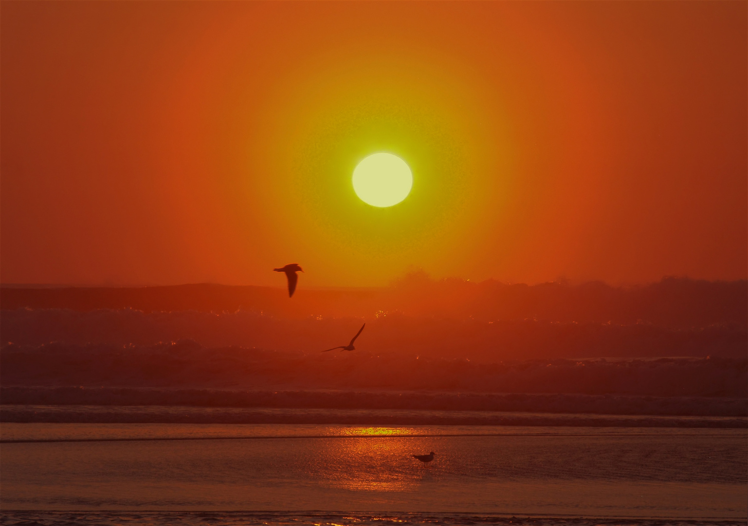 Râ dans tous ses états – 3 -- Mimizan : Coucher de soleil aux mouettes