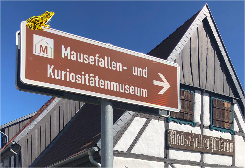 = R = Museumsführer Frosch 