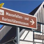 = R = Museumsführer Frosch 
