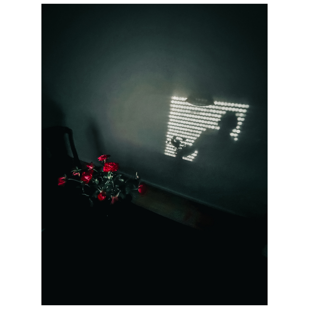 r o s e n_01