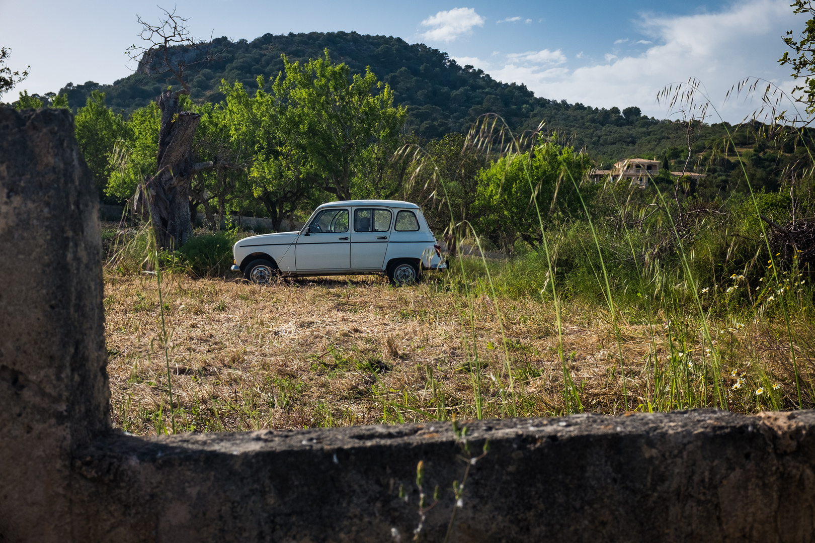 R4, Feld bei S'Alqueria Blanca