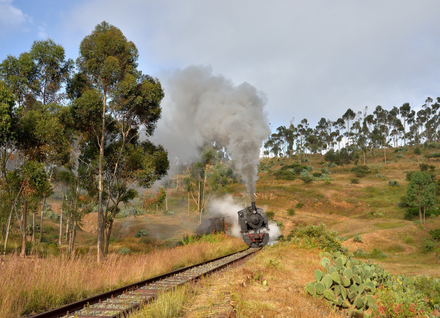 R440.008 am 04.11.18 nähe Tunnel 29 auf dem Weg nach Asmara.