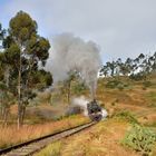 R440.008 am 04.11.18 nähe Tunnel 29 auf dem Weg nach Asmara.