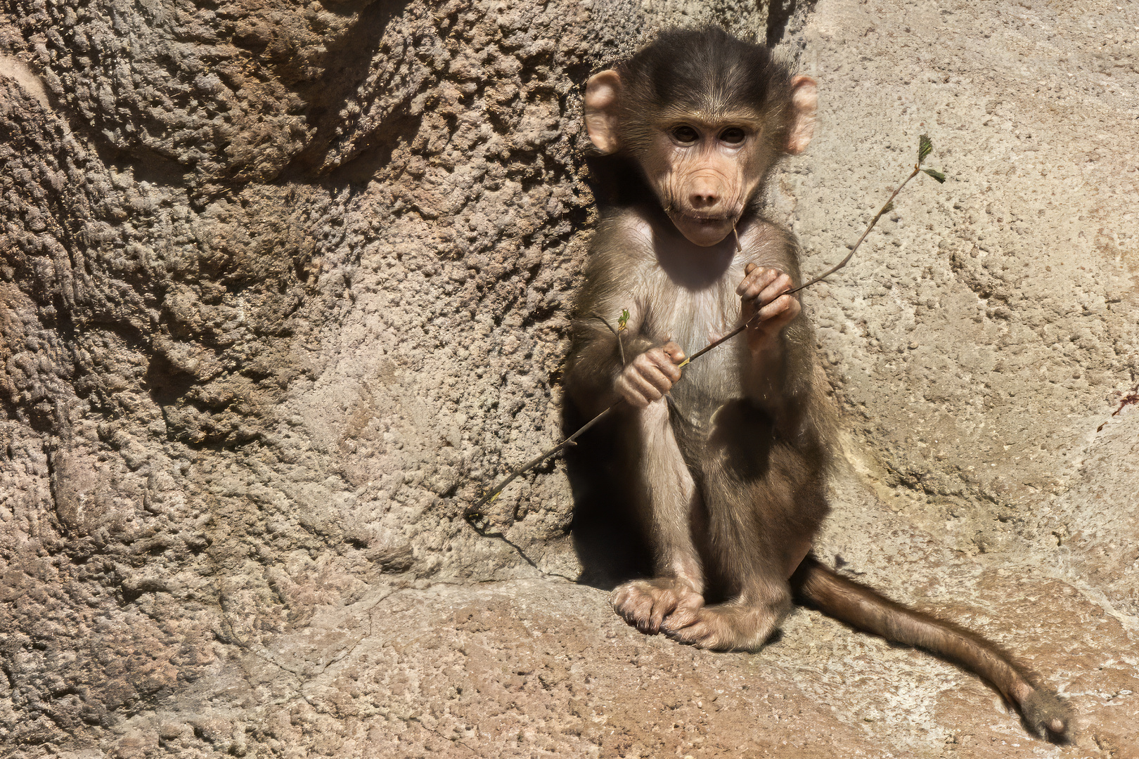 R7_AM2A1984_Aalborg Zoo-03