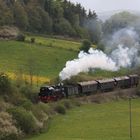 Raanzer Dampfnostalgie im Schwarzatal...