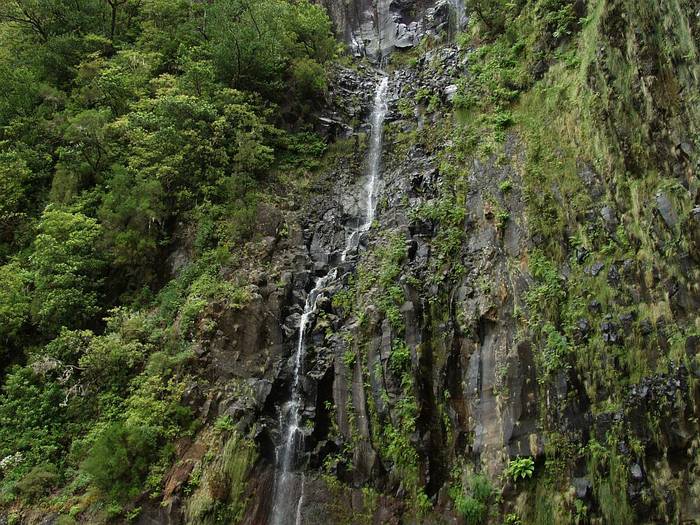 Rabacal 3 - Madeira