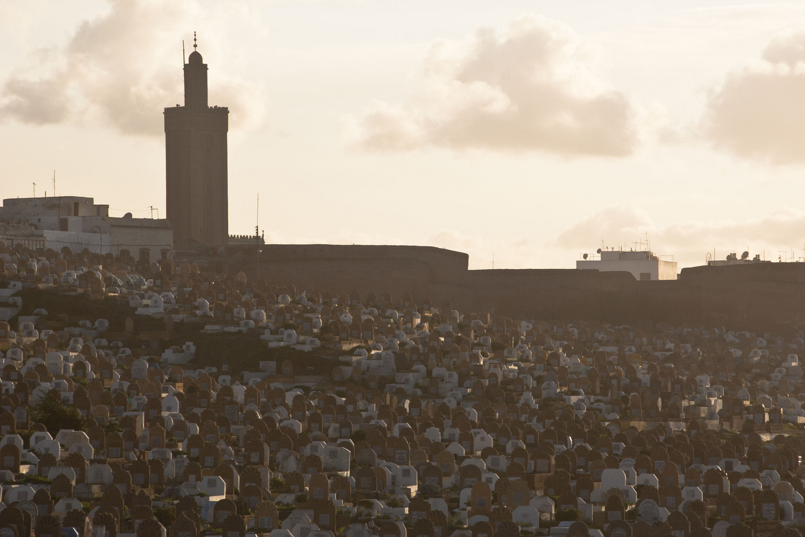 Rabat - cemetery near Avenue Al Marsa