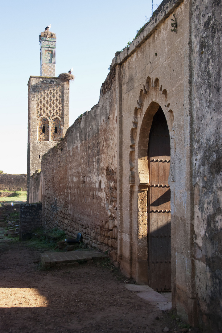 Rabat - Necropolis Chellah 7