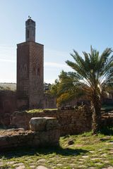 Rabat - Necropolis Chellah 9
