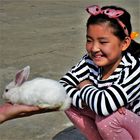 Rabbit & Happiness