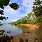 Rabbit Island Beach