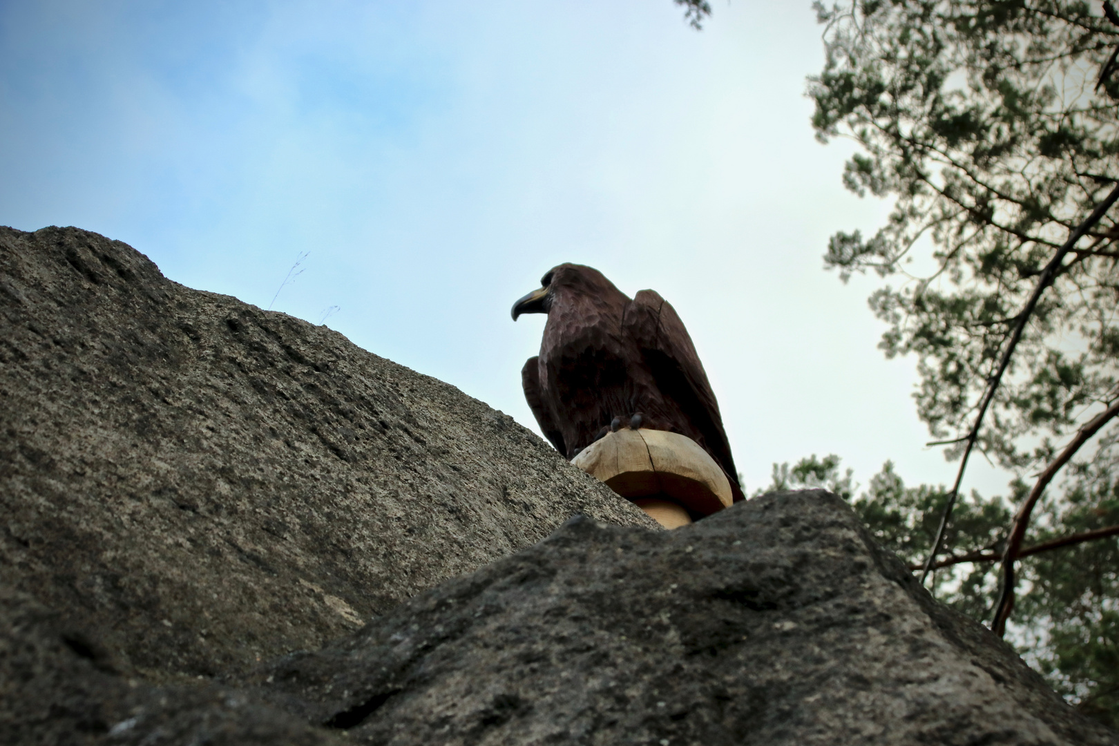 Rabe auf der Rabenklippe im Okertal