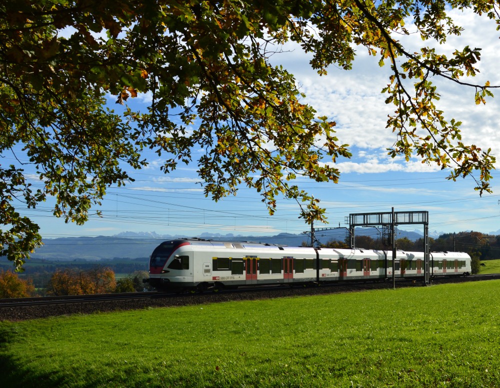 RABe unter Blättern