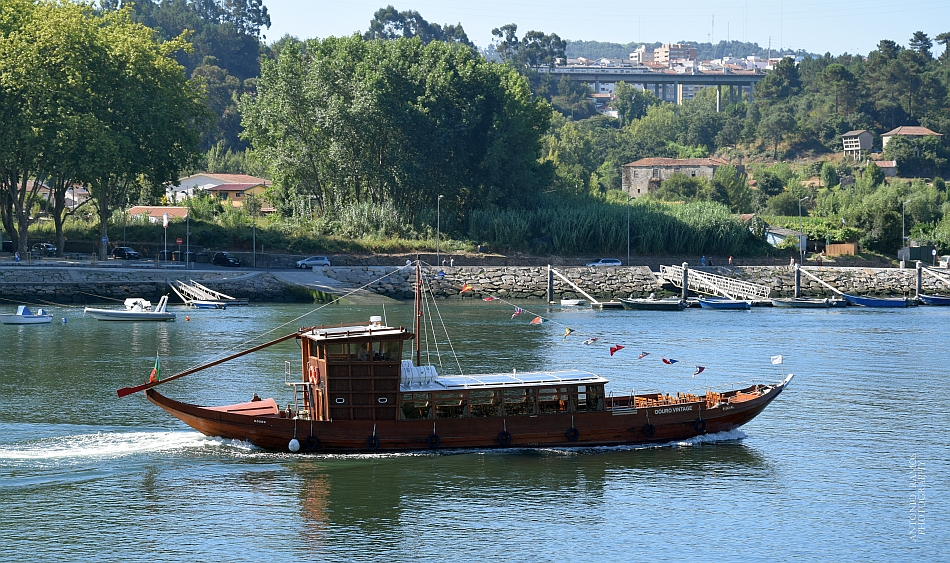 Rabelo boat