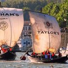 Rabelo Boat race - Porto