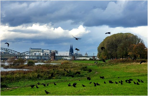 Raben auf der Wies'n (II)